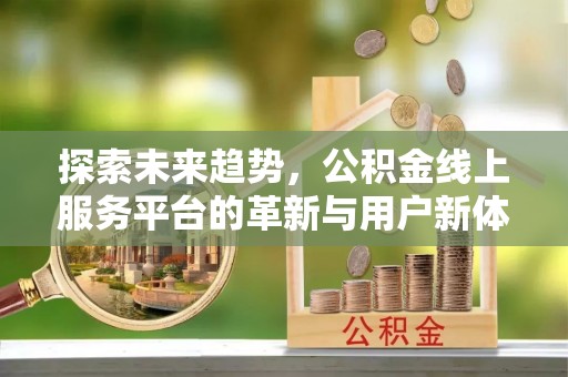 伊川探索未来趋势，公积金线上服务平台的革新与用户新体验