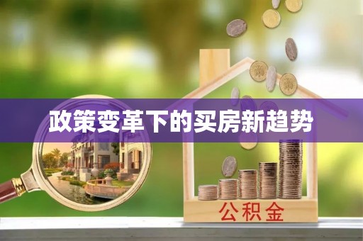 伊川政策变革下的买房新趋势