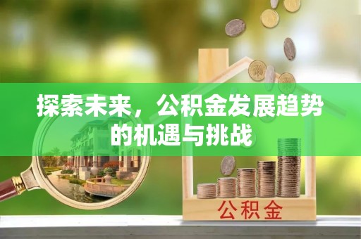 伊川探索未来，公积金发展趋势的机遇与挑战