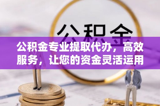伊川公积金专业提取代办，高效服务，让您的资金灵活运用