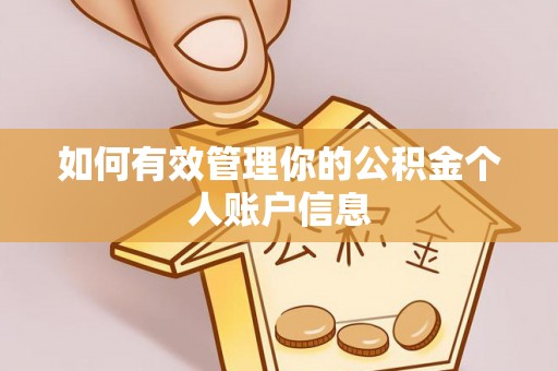 伊川如何有效管理你的公积金个人账户信息