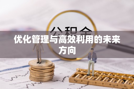 伊川优化管理与高效利用的未来方向